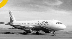 indigo-will-not-appeal-against-dgca