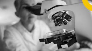 universities-warn-eu-uk-research-collaboration-is-on-the-verge-of-collapse