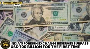 indias-foreign-exchange-reserves-surpass-usd-700-billion-for-the-first-time