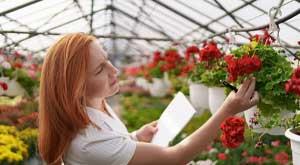 how-to-start-a-garden-trading-business