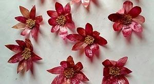 dont-throw-away-the-onion-peels-try-this-sustainable-trick