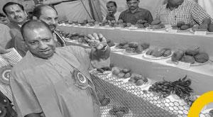 uttar-pradesh-mango-festival2022-started-in-lucknow