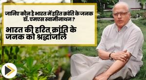 know-who-is-dr-ms-swaminathan-the-father-of-green-revolution-in-india