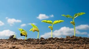 agtech-is-the-future-learn-about-five-agtech-startups