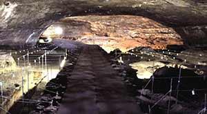 management-science-s-evolutionary-heritage