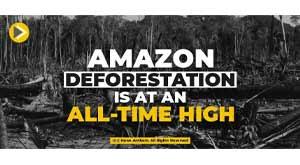 amazon-deforestation-is-at-an-all-time-high