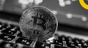 despite-the-decline-in-bitcoin-there-boom-in-crypto-market