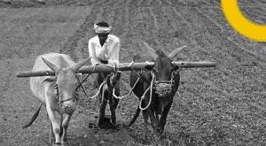 13-crore-farmers-will-benefit-from-decision-modi-government