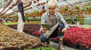 how-farmers-are-using-data-and-technology-to-meet-the-world’s-food-demand