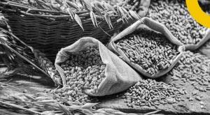 rich-nations-pitch-climate--sustainable-agri-in-wto-talks