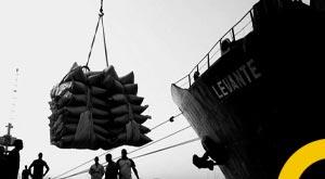 brazilian-sugar-cane-mills-cancel-sugar-exports