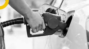 petroldiesel-option-is-going-to-be-available-flex-fuel-car-will-be-introduced-this-month