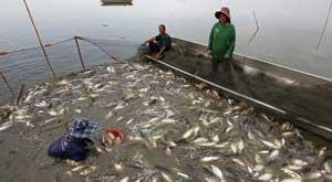 the-first-space-to-bring-life-can-be-the-best-way-to-earn