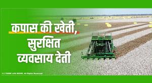 cotton-cultivation-gives-safe-business