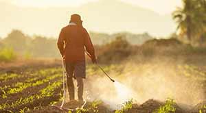 india-increased-fertilizer-imports-from-canada--israel-