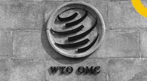 wto--india-against-customs-duties-moratorium-continuation-on-e-commerce-trade