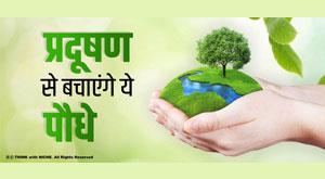 indoor-plants-can-save-you-from-air-pollution