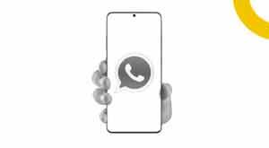 meta-cloud-hosting-available-whatsapp