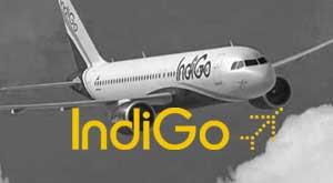 indigo-starts-indore-jammu-direct-flight-service