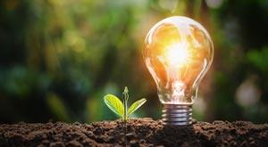 renewble-setor-grow-nd-glow