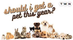 should-you-get-a-pet-this-year