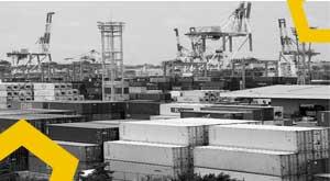 india-resumes-tea--rice--other-exports-to-russia