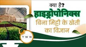 what-is-hydroponic-farming-and-why-is-it-considered-the-agriculture-of-the-future