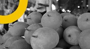 effect-of-summer-on-mango-production-prices-will-increase