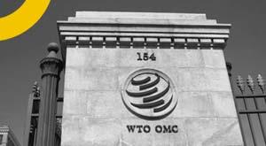 wto-s-12th-ministerial-conference-will-be-held-in-geneva-on-june-12-15-