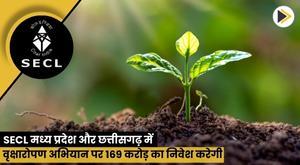 secl-to-invest-169-crores-on-tree-plantation-drive-in-madhya-pradesh-and-chhattisgarh