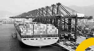 custom-duty-zero-between-indiauae-business-increase