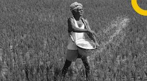 govt-to-launch-11th-agricultural-census-in-2021-22-using-tablets-and-cellphones-to-collect-data