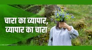 fodder-trade-trade-fodder