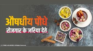 medicinal-plants-giving-through-employment