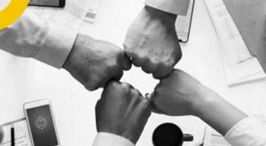 policygenius-lays-off-25--of-its-workforce