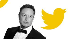 elon-musk-will-likely-appoint-himself-as-temporary-twitter-ceo