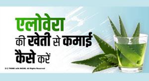 how-to-earn-from-aloe-vera-farming