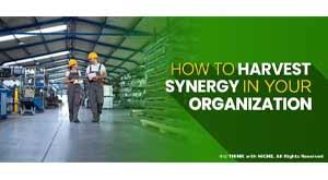 how-to-harvest-synergy-in-your-organization