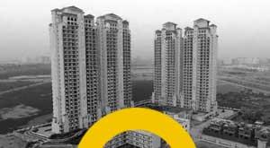 insolvency-action-against-anand-divine-developers