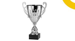 these-journalists-of-india-got-pulitzer-prize