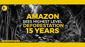 amazon-sees-highest-level-of-deforestation-in-15-years