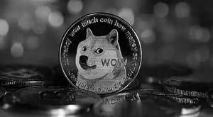 cryptocurrency-rises-after-elon-musks-investment-twitter