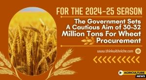 for-the-2024–25-season-the-government-sets-a-cautious-aim-of-30-32-million-tons-for-wheat-procurement