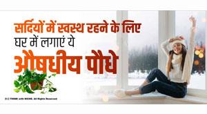 plant-these-medicinal-plants-at-home-to-stay-healthy-in-winter