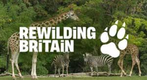 reset-and-springwise-partnership-with-rewilding-britain