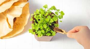 three-innovative-products-made-from-plastic-waste