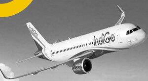 indigo-sixth-largest-airline-in-world