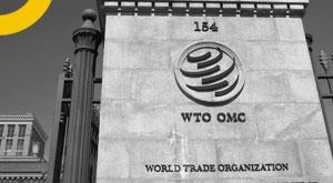 anwar-hussain-has-an-important-position-in-wto