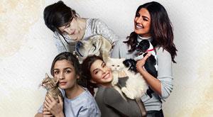 meet-bollywood-ldies--pet-hrmers