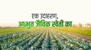 an-example-of-amazing-organic-farming